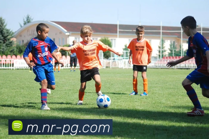 多媒体互动体验